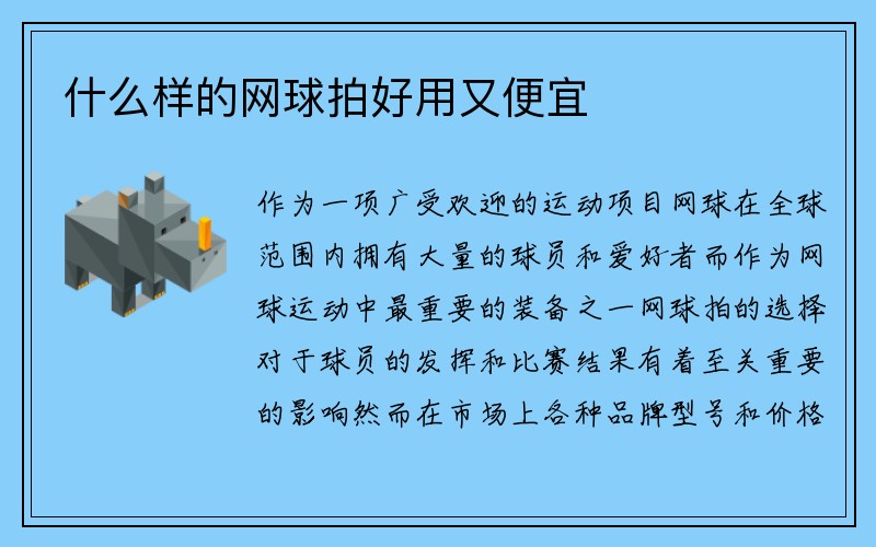 什么样的网球拍好用又便宜